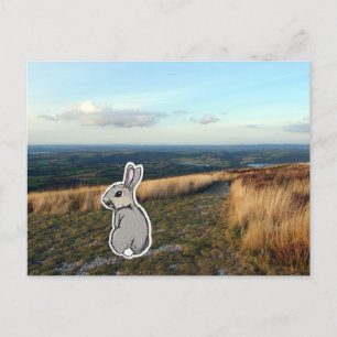 Carte Postale Contemplative Rabbit (color)