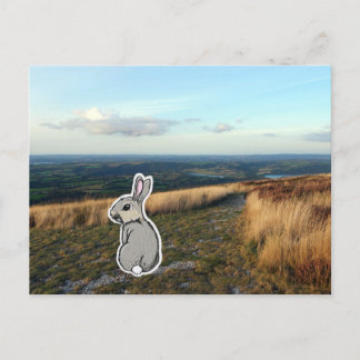 Carte Postale Contemplative Rabbit (color)