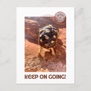 Carte Postale Continuez à faire l'agitation Baby Sulcata randonn