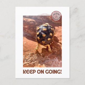 Carte Postale Continuez à faire l'agitation Baby Sulcata randonn