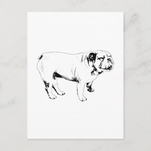 Carte Postale contour bonjour, bouledogue