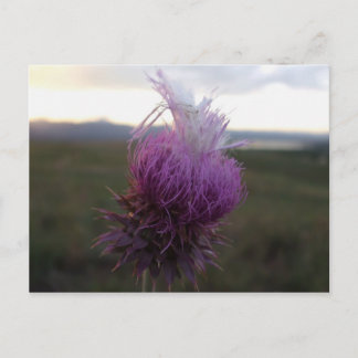 Carte Postale Contre le grain