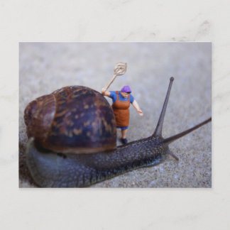 Carte Postale Contrôle des parasites