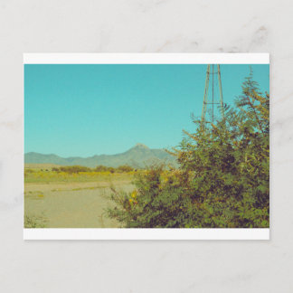 Carte postale Cookes Peak 10