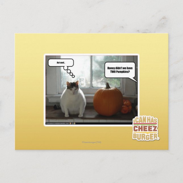 Carte Postale Cool (Devant)