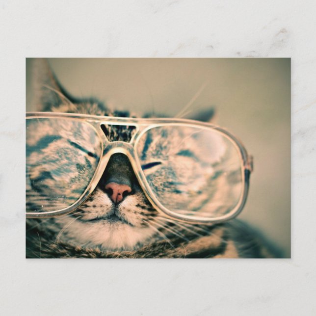 Carte Postale Cool Kitty dans les lunettes surdimensionnées (Devant)