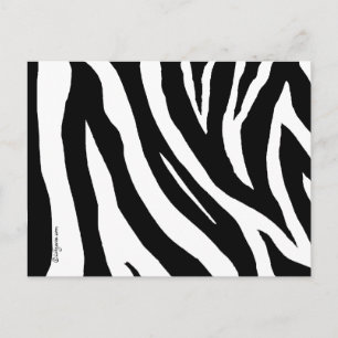 Carte postale cool Zebra Stripes