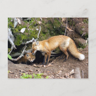 Carte Postale Copie DSC08270