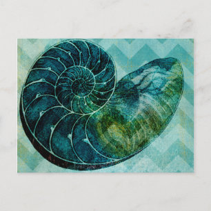 Carte Postale Coque spirale Turquoise