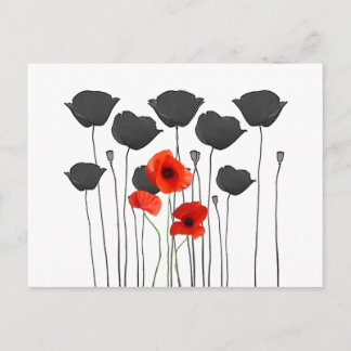 Carte Postale coquelicot