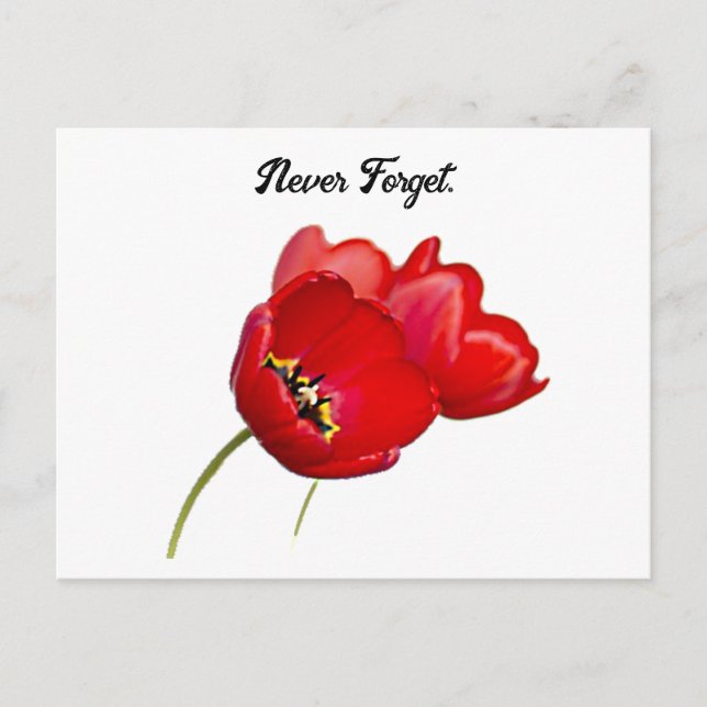 Carte Postale Coquelicots rouges Jour du Souvenir Ne jamais oubl (Devant)