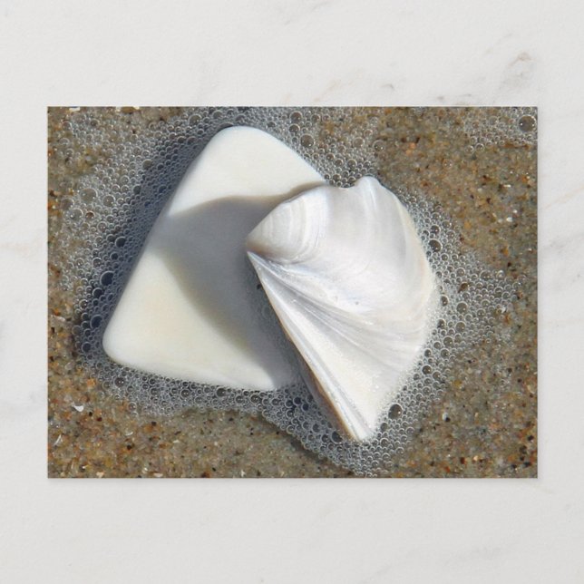Carte Postale Coques et sable (Devant)