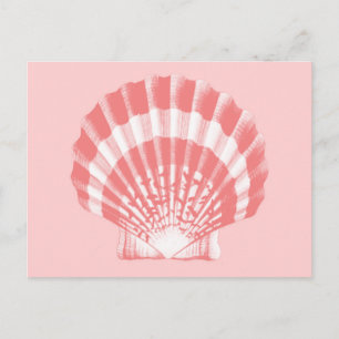 Carte Postale Coquillage - corail rose et blanc