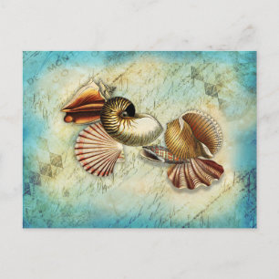 Carte Postale Coquillage océan bleu vintage
