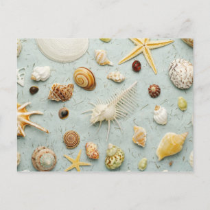 Carte Postale Coquillages assortés sur arrière - plan bleu