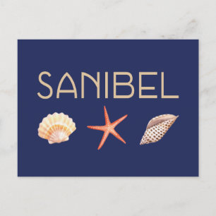 Carte Postale Coquillages de l'île de Sanibel