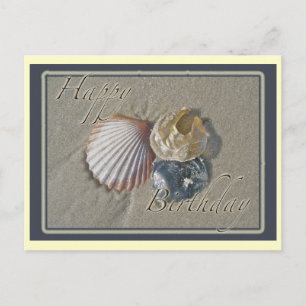 Carte Postale Coquillages Joyeux Anniversaire Coordonner les art