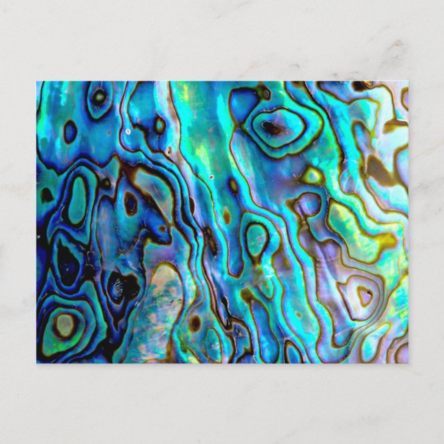 Carte Postale Coquille d'aluminium (Devant)