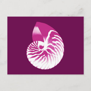 Carte Postale Coquille de Nautilus - aubergine violet et blanc