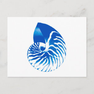 Carte Postale Coquille de Nautilus - bleu cobalt et blanc
