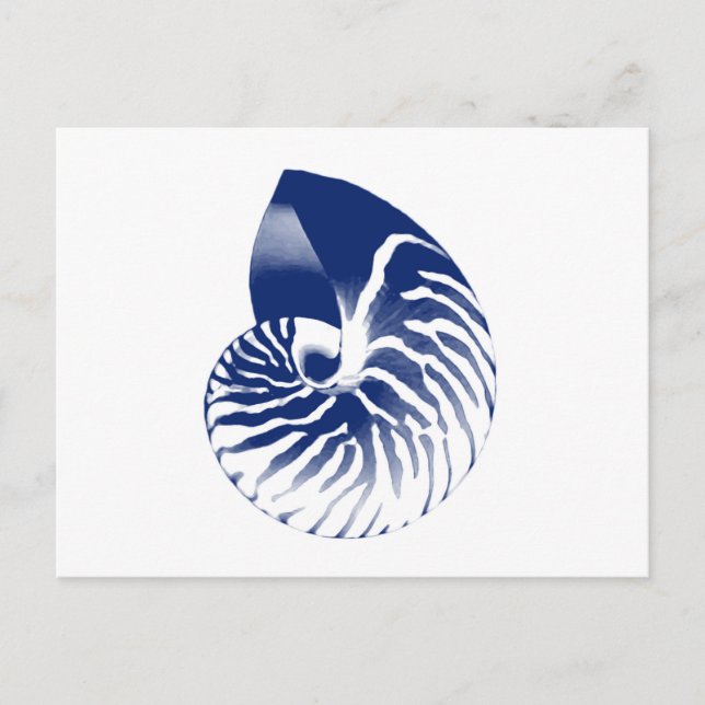 Carte Postale Coquille de Nautilus - bleu marine et blanc (Devant)