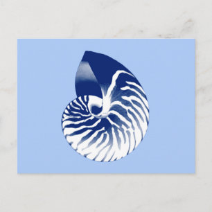 Carte Postale Coquille de Nautilus - marine, blanc & bleu clair