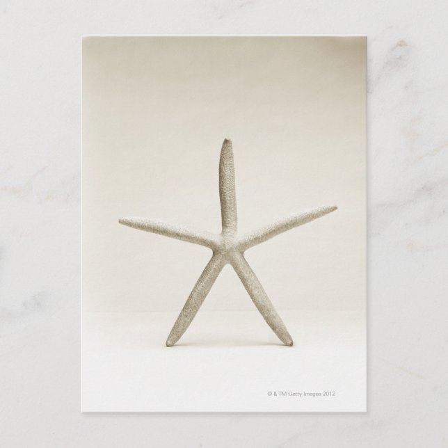 Carte Postale Coquille de poisson (Devant)