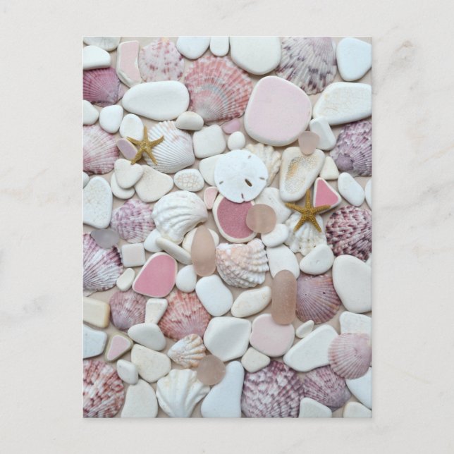 Carte Postale Coquille rose mer verre de plage art photo poterie (Devant)