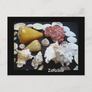 Carte Postale coquilles de Zanzibar