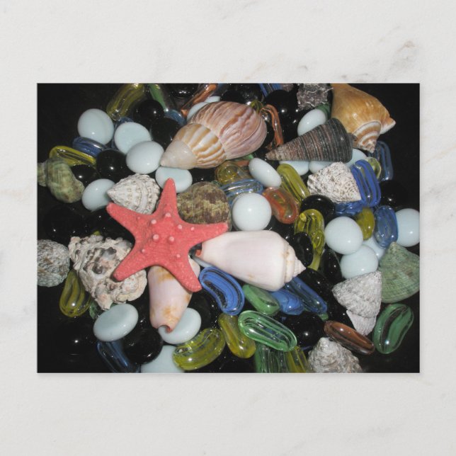 Carte Postale Coquilles et roches de mer (Devant)