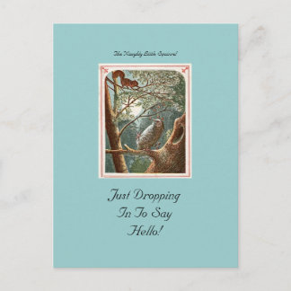 Carte postale Coquine Little Squirrel