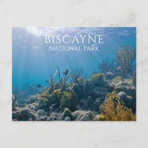 Carte Postale Corail, Plantes, Poissons, Parc national de Biscay