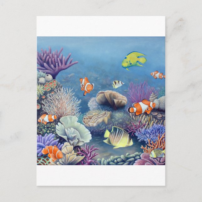 Carte Postale Corail Reef (Devant)