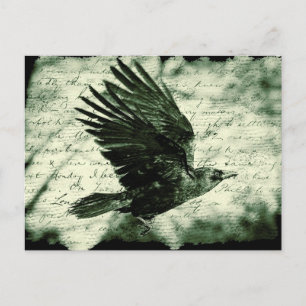 Carte Postale Corbeau 9