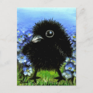 Carte Postale Corbeau de bébé