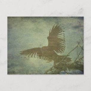 Carte Postale Corbeau de la poésie de Poe