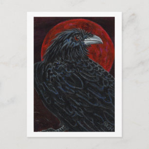 Carte Postale Corbeau de lune de sang