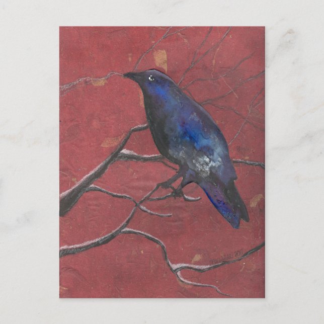 Carte Postale Corbeau de minuit (Devant)