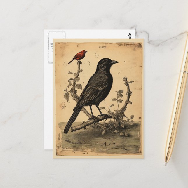 Carte Postale Corbeau vintage et Oiseau rouge (Devant/Arrière en situation)