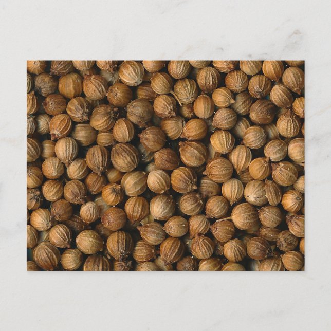 Carte Postale Coriander (Devant)