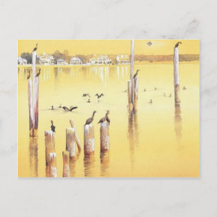 Carte Postale "Cormorants" Aquarelle Plage Oiseaux