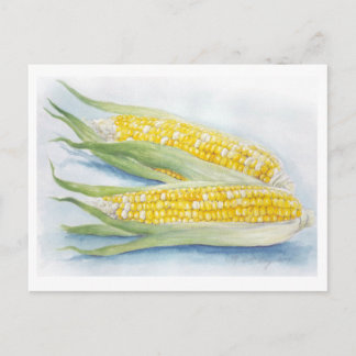 Carte postale Corn