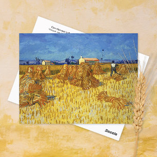 Carte Postale Corn Harvest Provence Vincent van Gogh