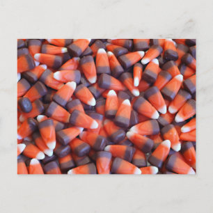 Carte Postale Corn indien