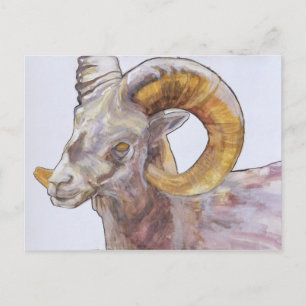 Carte Postale Corne longue américaine 2004