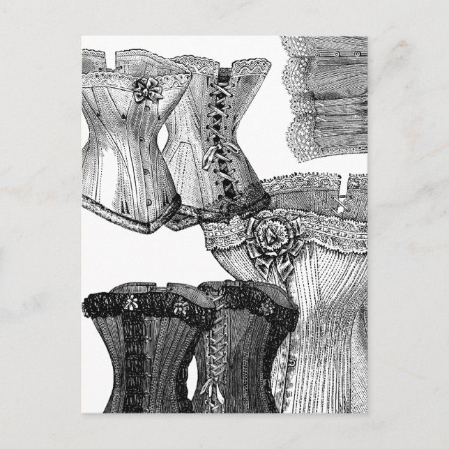 Carte Postale Corsets et autres corsets (Devant)