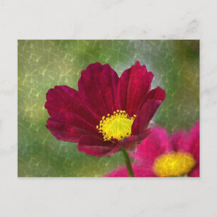 Carte Postale Cosmos brillants