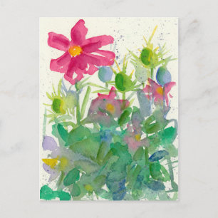 Carte Postale Cosmos rose Fleur Nigella Jardin Aquarelle