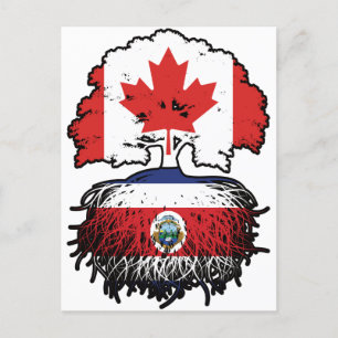 Carte Postale Costa Rica Costa Rica Canada Canada Racines d'arbr