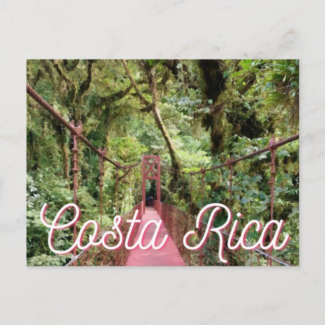 Carte Postale Costa Rica Monteverde Bridge Photocarte postale (Devant)